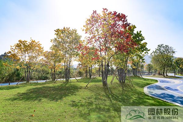 亚洲精品白浆高清久久久久久