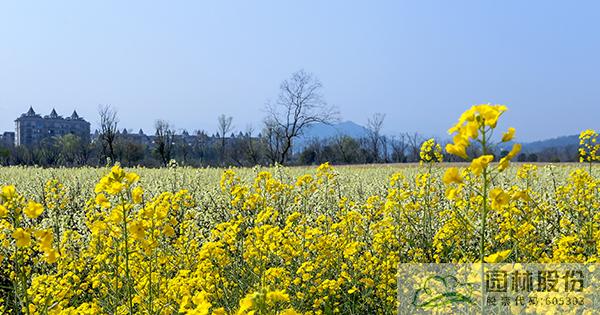 亚洲精品白浆高清久久久久久