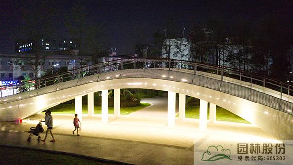 亚洲精品白浆高清久久久久久