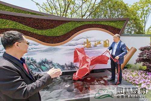 亚洲精品白浆高清久久久久久