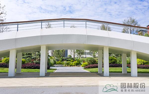 亚洲精品白浆高清久久久久久