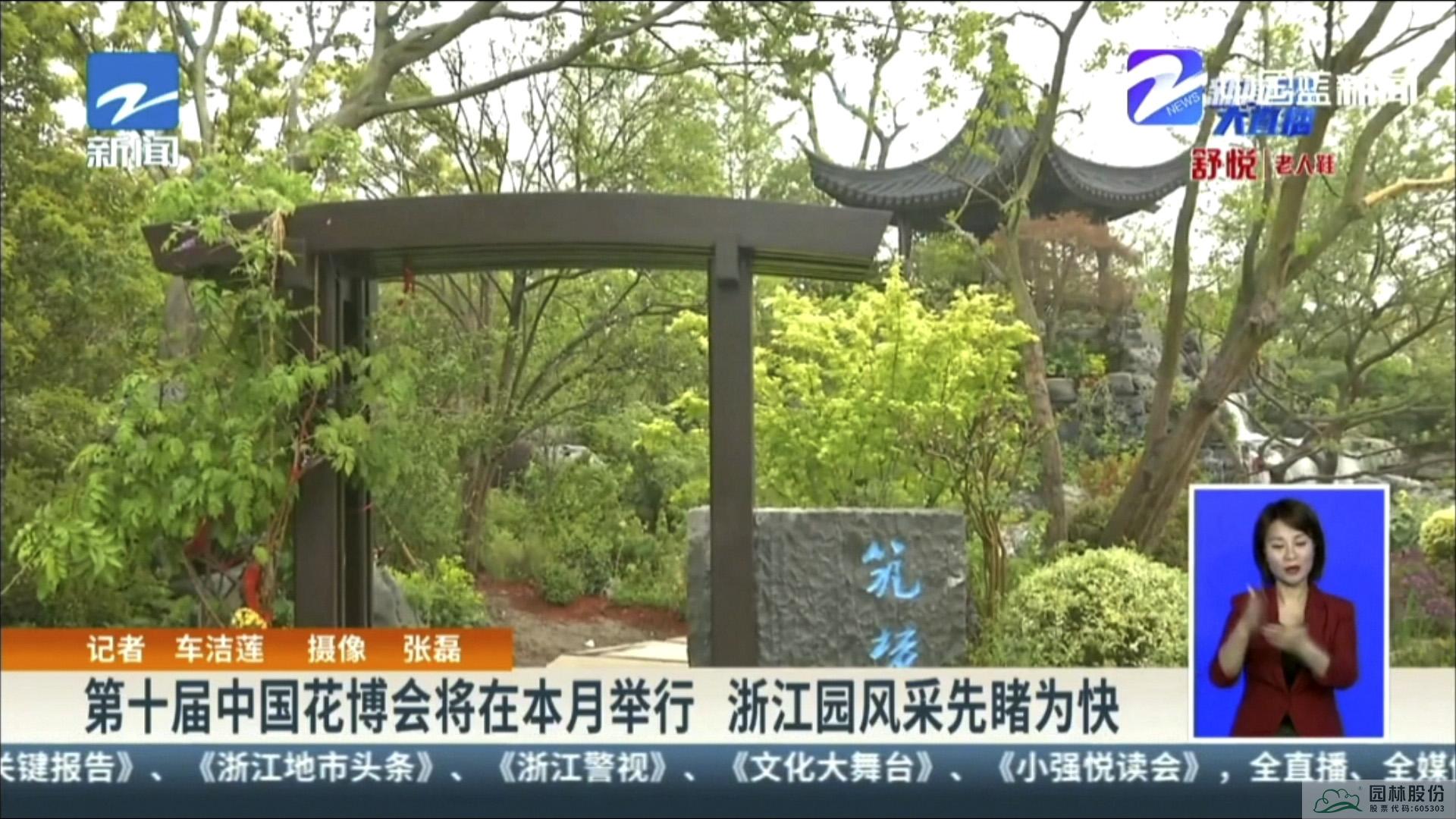 亚洲精品白浆高清久久久久久