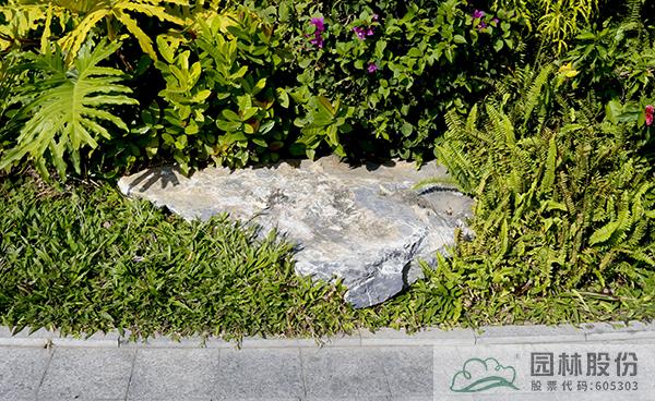 亚洲精品白浆高清久久久久久