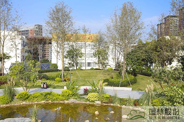 亚洲精品白浆高清久久久久久