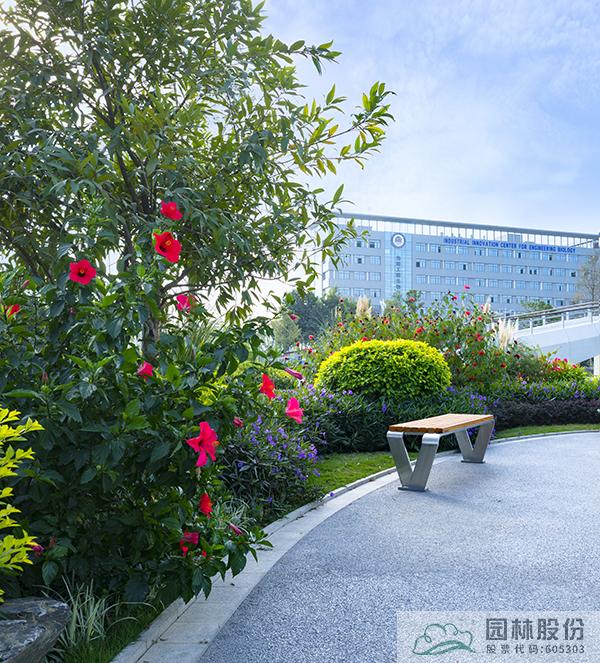 亚洲精品白浆高清久久久久久