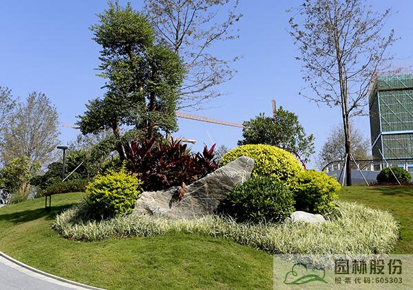 亚洲精品白浆高清久久久久久