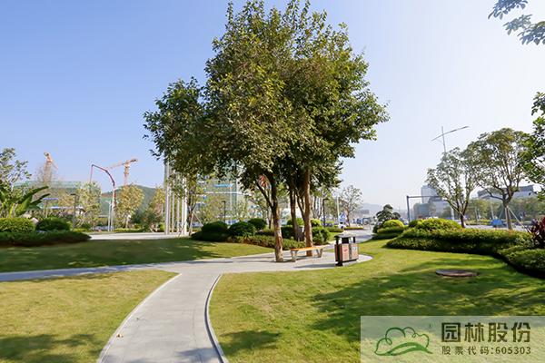 亚洲精品白浆高清久久久久久