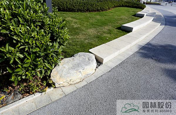 亚洲精品白浆高清久久久久久