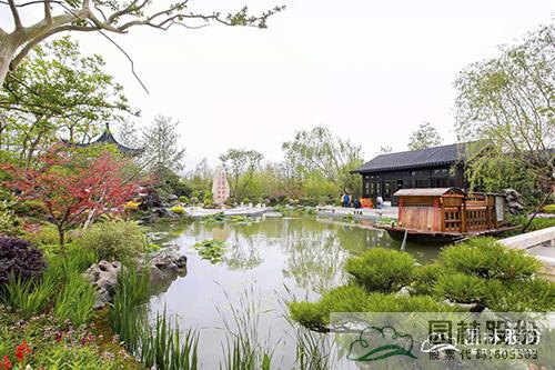 亚洲精品白浆高清久久久久久