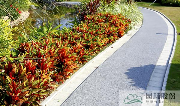 亚洲精品白浆高清久久久久久