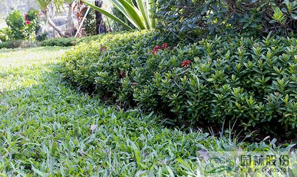 亚洲精品白浆高清久久久久久