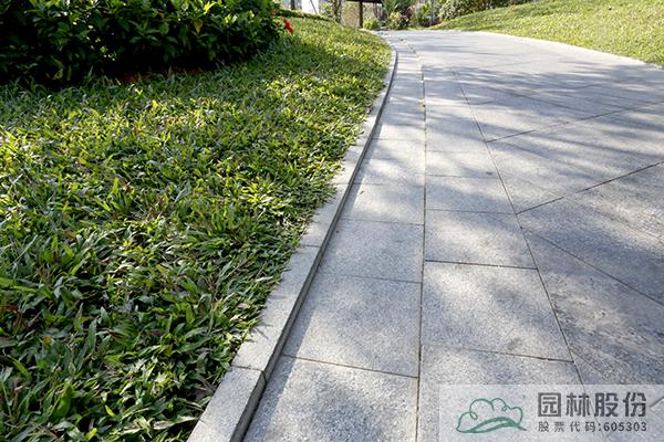 亚洲精品白浆高清久久久久久