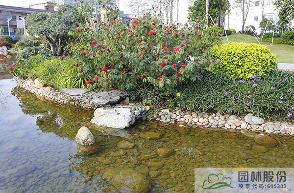 亚洲精品白浆高清久久久久久