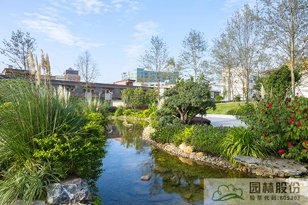 亚洲精品白浆高清久久久久久