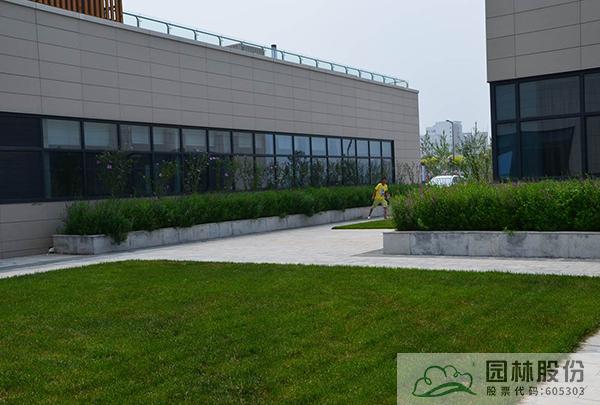 亚洲精品白浆高清久久久久久