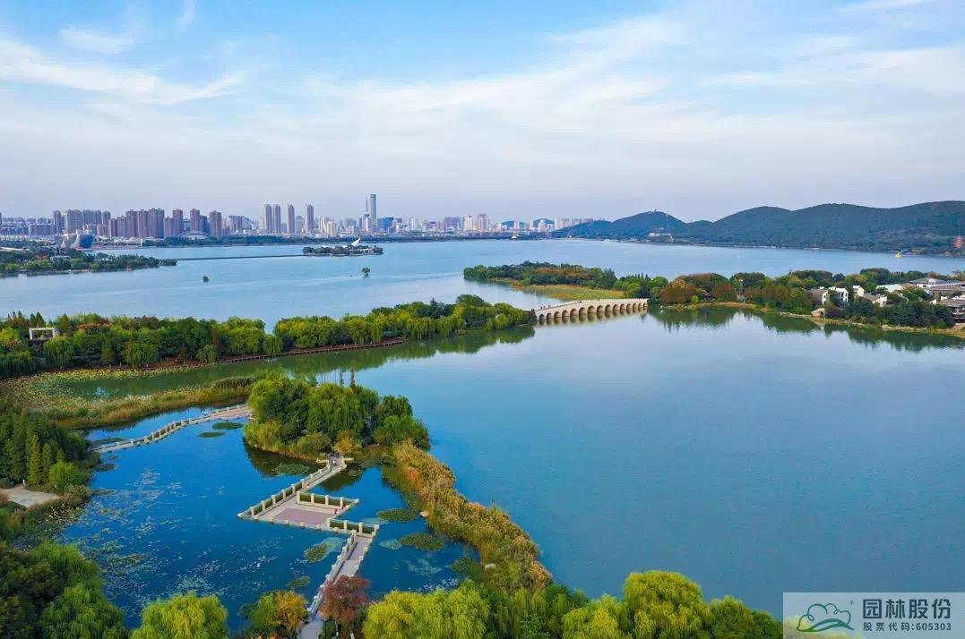 亚洲精品白浆高清久久久久久