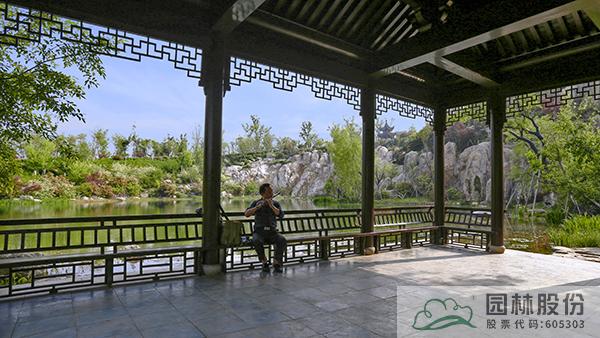 亚洲精品白浆高清久久久久久