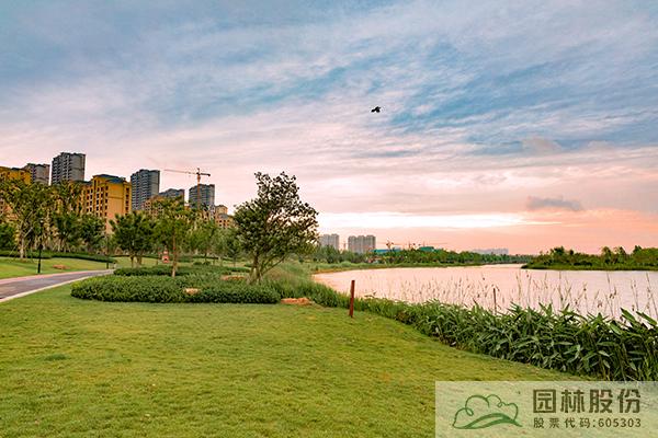 亚洲精品白浆高清久久久久久