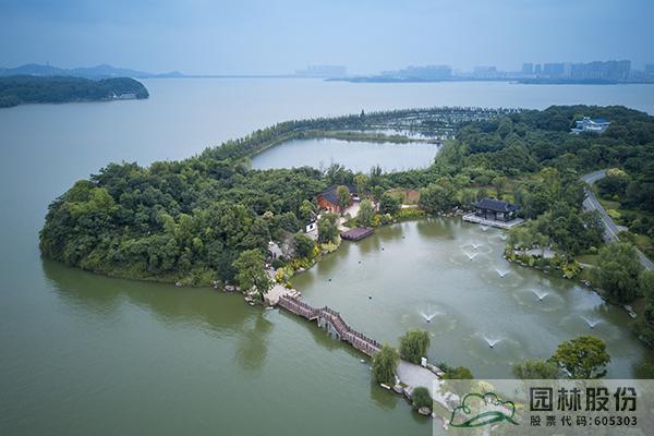 亚洲精品白浆高清久久久久久