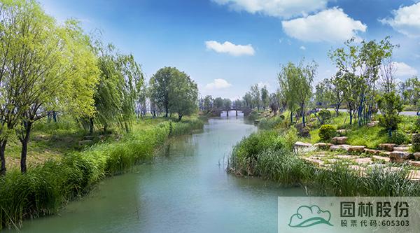 亚洲精品白浆高清久久久久久