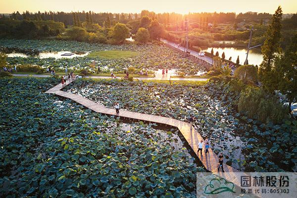 亚洲精品白浆高清久久久久久