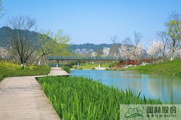 亚洲精品白浆高清久久久久久