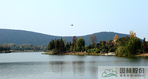 亚洲精品白浆高清久久久久久