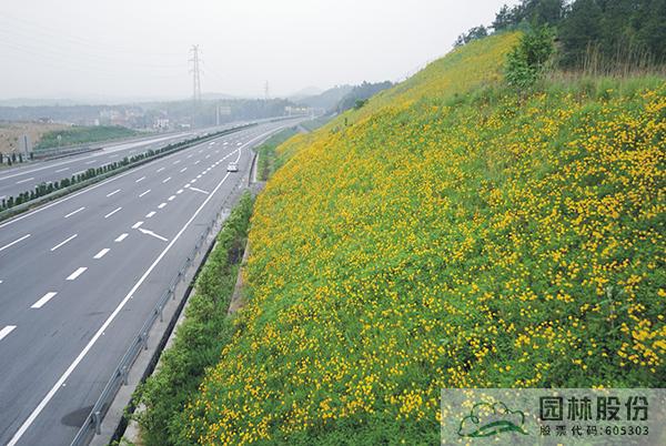 亚洲精品白浆高清久久久久久