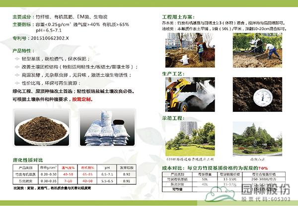 亚洲精品白浆高清久久久久久