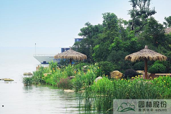 亚洲精品白浆高清久久久久久