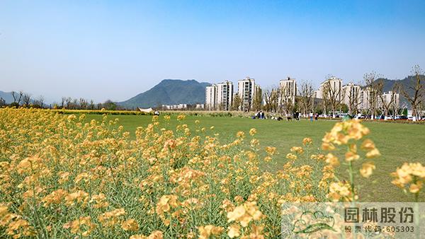 亚洲精品白浆高清久久久久久