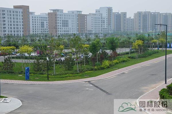 亚洲精品白浆高清久久久久久