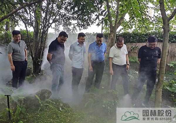 亚洲精品白浆高清久久久久久