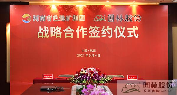 亚洲精品白浆高清久久久久久