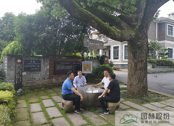 亚洲精品白浆高清久久久久久