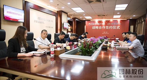 亚洲精品白浆高清久久久久久