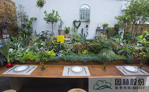 亚洲精品白浆高清久久久久久