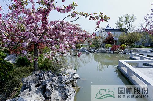 亚洲精品白浆高清久久久久久