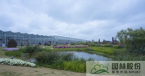 亚洲精品白浆高清久久久久久