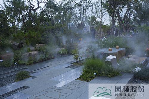 亚洲精品白浆高清久久久久久