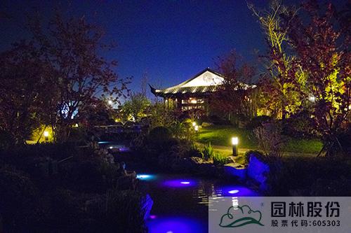 亚洲精品白浆高清久久久久久