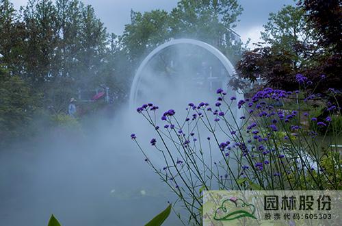 亚洲精品白浆高清久久久久久