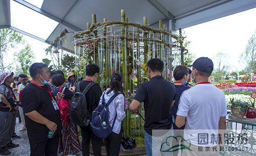 亚洲精品白浆高清久久久久久