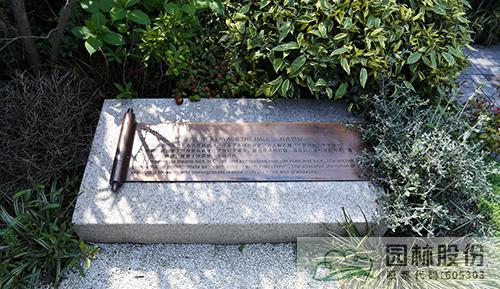 亚洲精品白浆高清久久久久久