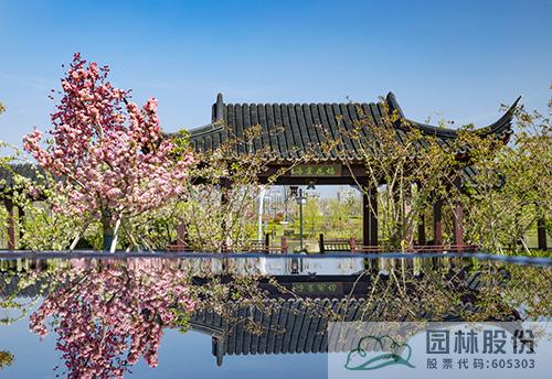 亚洲精品白浆高清久久久久久