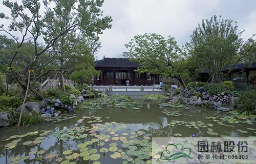 亚洲精品白浆高清久久久久久