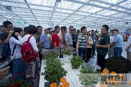 亚洲精品白浆高清久久久久久