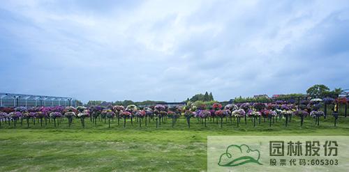 亚洲精品白浆高清久久久久久