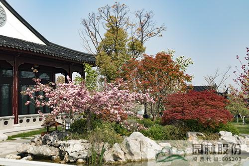 亚洲精品白浆高清久久久久久