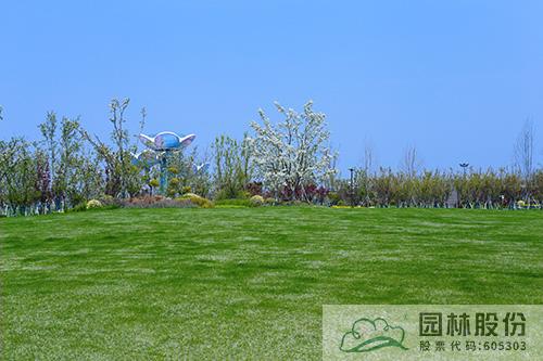 亚洲精品白浆高清久久久久久